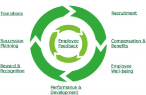 Employee Life cycle
