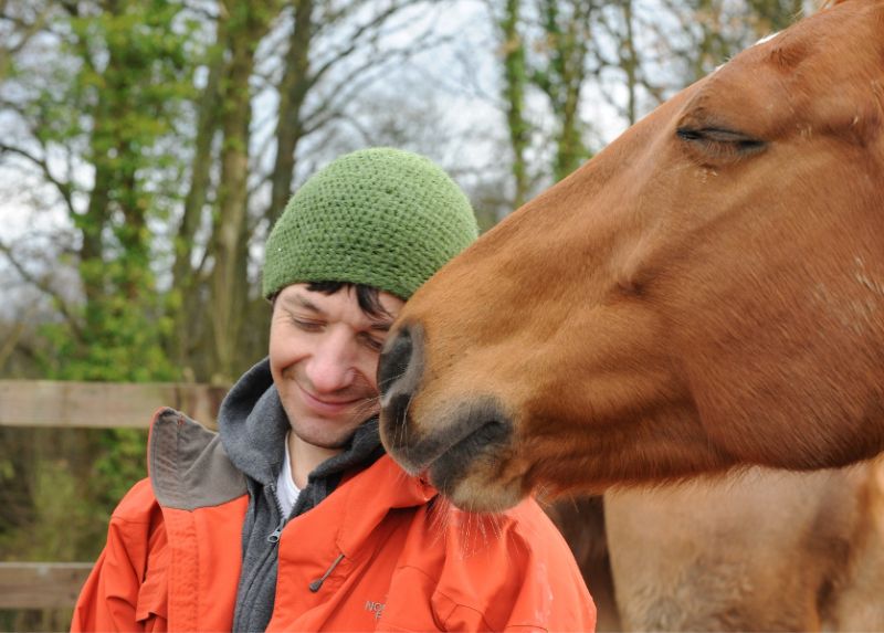 Horse
